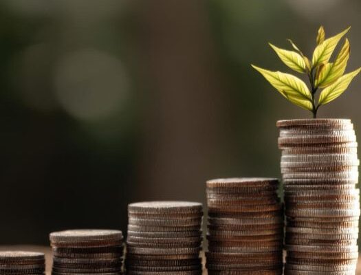 Photo of coins with a plant on top of the pile