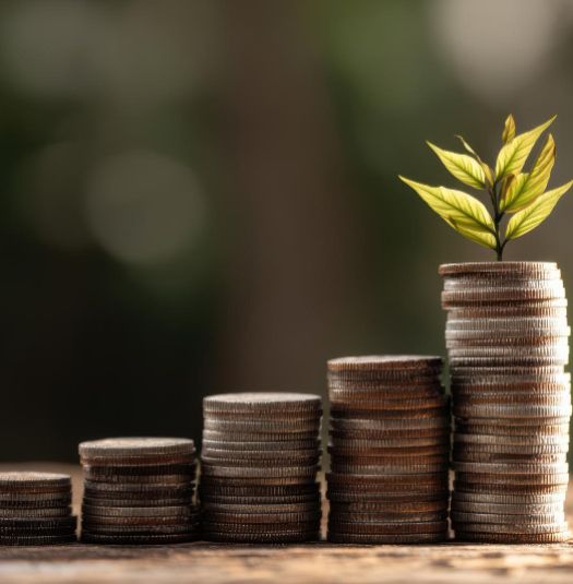 Photo of coins with a plant on top of the pile